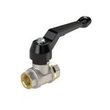 RIEGLER 103269-3350.10 kogelkraan zware uitvoering, handhendel, IG/IG, MS vern., G 2 1/2, 1 stk
