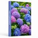 THE HYDRANGEA A Practical Guide to Growing, Choosing & Living With Hydrangeas: A Large Decorative Hardcover Coffee Table Book and Curated Flower ... Facts, Variety Profiles, and Insights