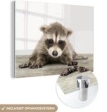 MuchoWow® Glass Painting 160x120 cm - Acrylic Glass Painting - Raccoon - Animals - Children - Boys - Girls - Photo on Glass - Paintings