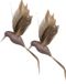Othmar Decorations Kolibries vogels op clip - 4 stuks - champagne - 22 x 4,5 cm