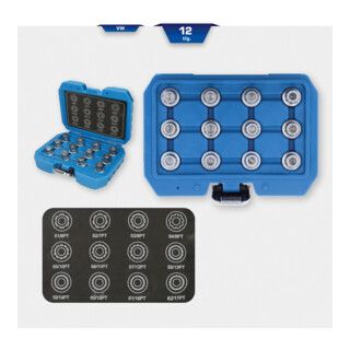 Brilliant Tools Velgslotassortiment voor VW, 12-dlg