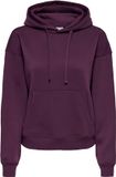 Only Trui Onlbest L/s Hood Swt 15338730 Fig Dames Maat - L