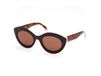 GAFAS Pucci EP0203 Havana/monocolor 53/22/140 Vrouwen Zonnebrillen
