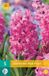 Jub Bol Hyacint Pink Pearl