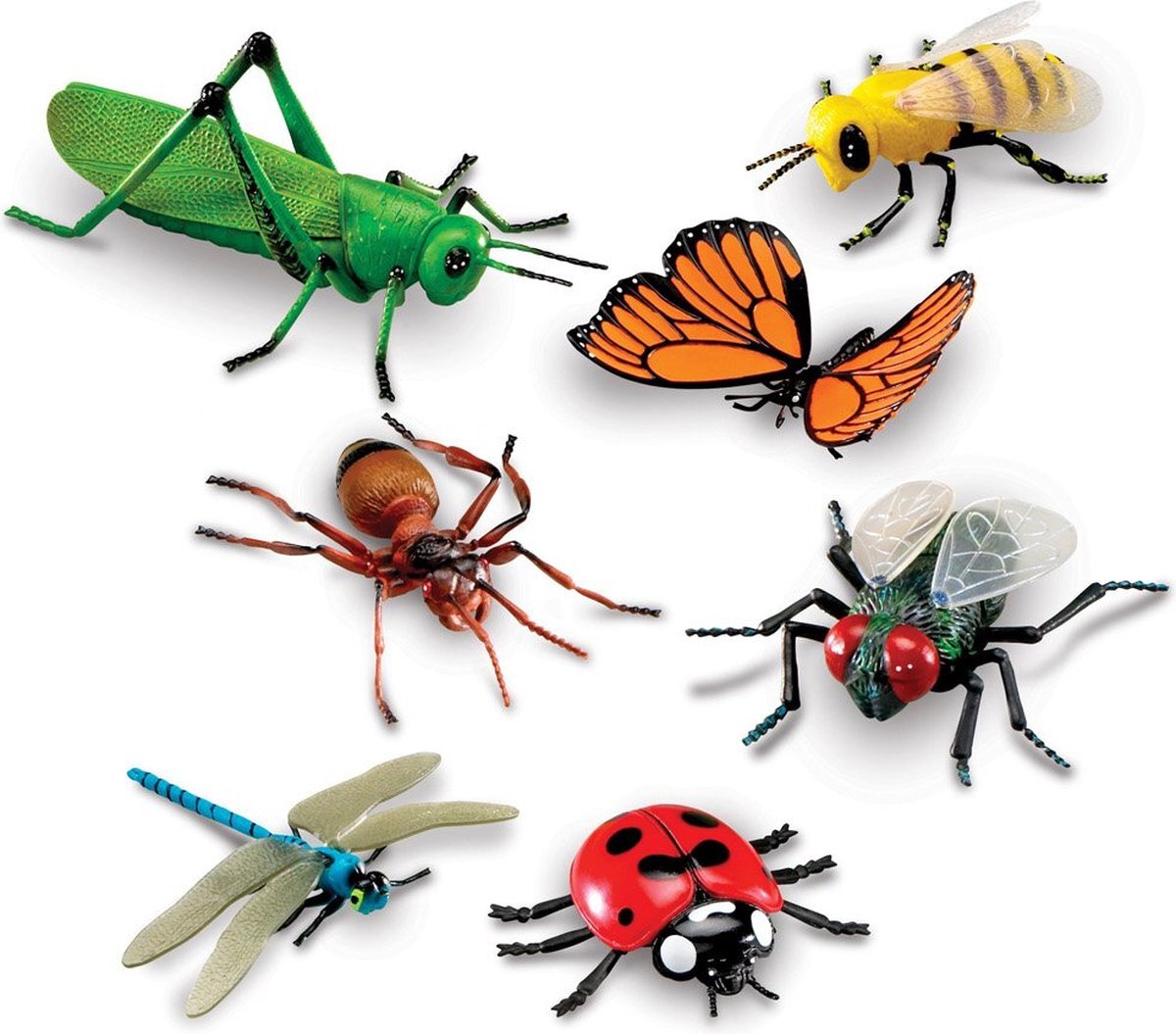 Learning Resources Jumbo insecten