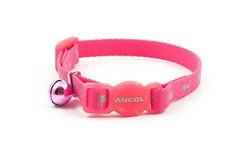 Ancol Hi-Vis Safety Kitten Collar, Neon Pink