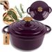 HAGE Fonte Braadpan met Deksel - Aubergine Paars - 3 Liter