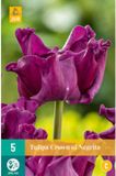 Jub Tulp Crown of Negrita