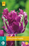 Jub Plant in a Box - Tulpenbollen - Set van 14 - Tulipa Parrot 'Negrita'