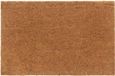 vidaXL Deurmat 65x100 cm Kokosvezel Naturel