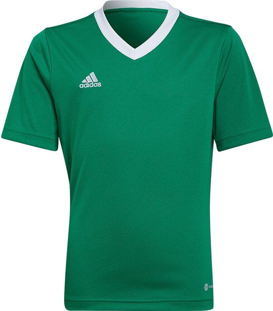 adidas Entrada 22 Jersey Youth - Groen - Maat 140