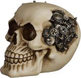 Puckator Steam Punk Schedel Decoratie met Tandwielen