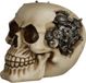 Puckator Steam Punk Schedel Decoratie met Tandwielen