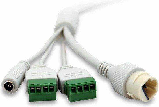 LevelOne FCS-3403 - Dome IP-beveiligingscamera - Binnen & buiten - 4MP - Wit