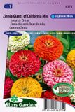Sluis Garden Zinnia Reuzen van California Mix
