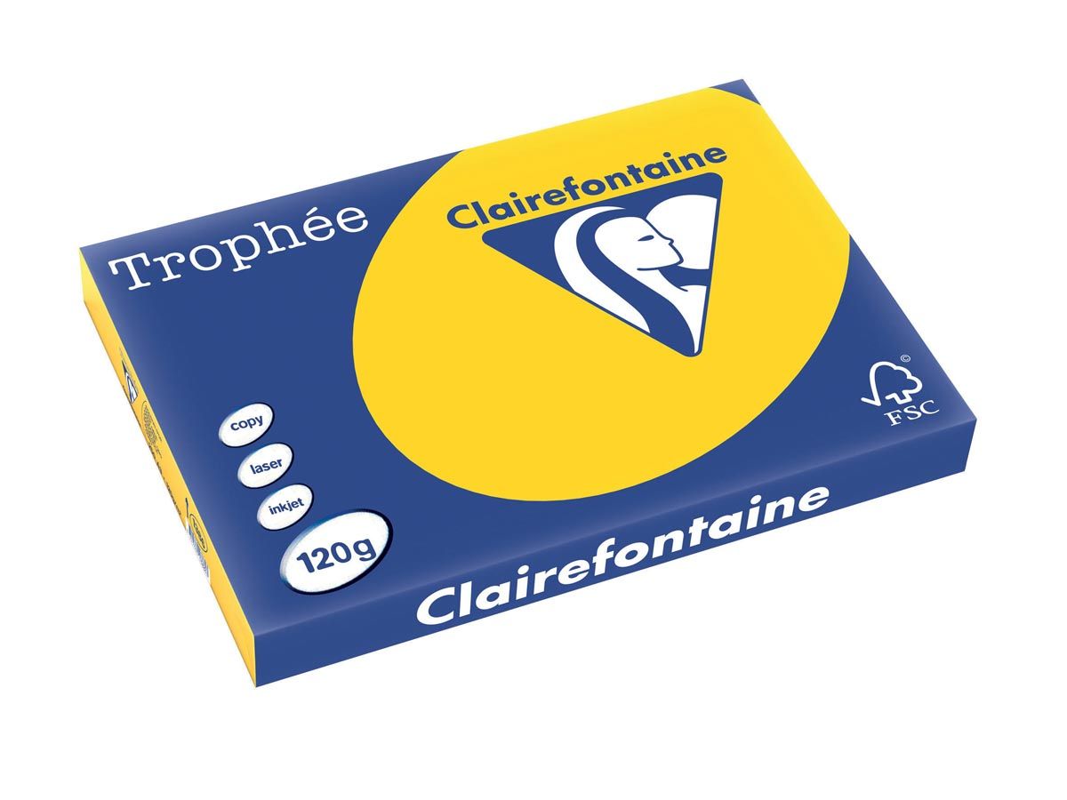 Clairefontaine Trophée Pastel A3 goudgeel 120 g 250 vel