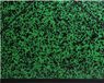 Exacompta Tekenmap Annonay, Groen/Zwart, Karton, 26 x 33 cm