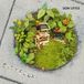 Cityfolk - Son Little (LP)
