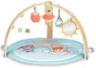 Bright Starts Activity gym Winnie de Poeh hangout