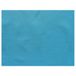 Tafelmatten Garcia de Pou Tafelmatten "Spundbond" 60 Gsm 30X40 Cm Turquoise Pp - 200 Eenheden