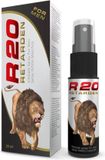 Bodyglide R20 Retardant Spray For Men Cold Effect 20 Ml