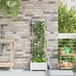 Maison Exclusive - Pot de plante de jardin, blanc, 40 x 40 x 125,5 cm, plastique PP