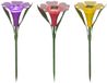 Lumineo Lampe solaire à piquer fleur plastique ø10xh30cm 3 assortis