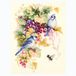 Magic Needle Borduurpakket Kruissteek Telpakket - Blue Jay And Grapes 130-022