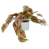 Leaf Design UK Realistische kunstplant Caladium, roze, in pot, 30 cm