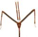 AmaHorse Dubbel leren jachtcollier Supreme UKE - Cognac - Pony