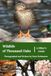 Wildlife of Thousand Oaks | A Hiker's Guide