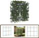 vidaXL Plantenklimrek U-vorm 181x31x182,5 cm staal