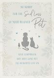 Traditionele Piccadilly Greetings Traditionele wenskaart "Sorry for Perss of Your Pet", 17,8 x 12,7 cm