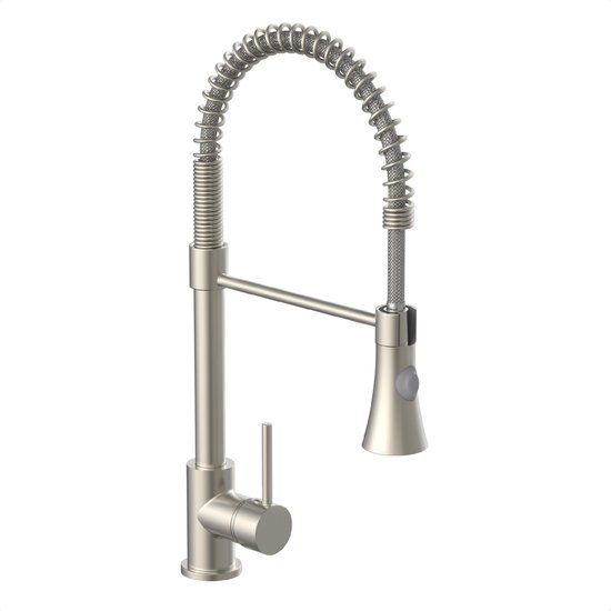 EISL LEON Keukenkraan - Ééngreepsmengkraan - RVS - Met sproeier en spiraalveer