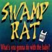 Sonic Rendezvous Swamp Rat - What's You Gonna Do With The Baby? (CD)