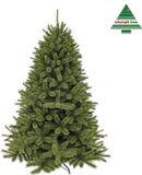 Triumph Tree Forest Frosted - 185 cm