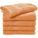 Falk&Ross Group Europe GmbH Serviette de plage Rhine 100x150 ou 180 cm