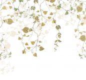 Komar Noordwand Fotobehang Hedera 300x280cm - Vliesbehang