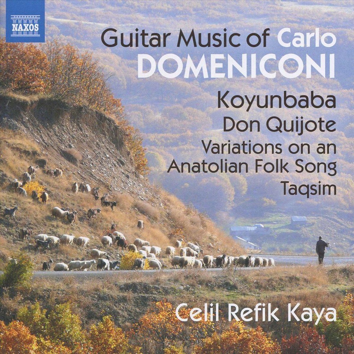 OUTHERE Domeniconi/Guitar Music