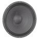 Audibax GR10-AR Professionele woofer, 25,4 cm (10 inch), stijve ophanging, subwoofer voor auto, impedantie 4 ohm, 100 W RMS-vermogen met max. 200 W, coaxiale luidsprekers