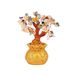 Feng Lachineuse Feng Shui boom, 5 elementen