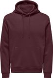 ONLY&SONS - ONSCONNOR LIFE REG SWEAT HOODIE NOOS - Heren - Sweaters - L - Port Royale