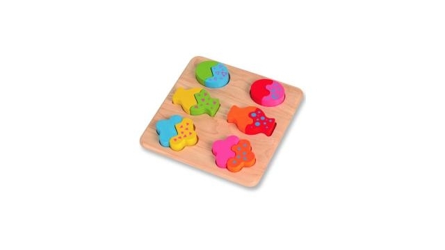 pintoy Vormpuzzel mix en match