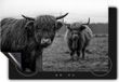 Chefcare Inductie Beschermer Twee Schotse Hooglanders - Zwart Wit - 78x78 cm