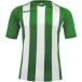 Acerbis Sports JOHAN STRIPED S/SL JERSEY (Sportshirt) GREEN/WHITE S