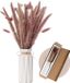 Unyqoos® 50 stuks pampasgras, gedroogd, inclusief witte keramische vaas