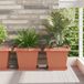 Maison Exclusive - Plateau carré pour fleurs, lot de 6, couleur brique, en plastique