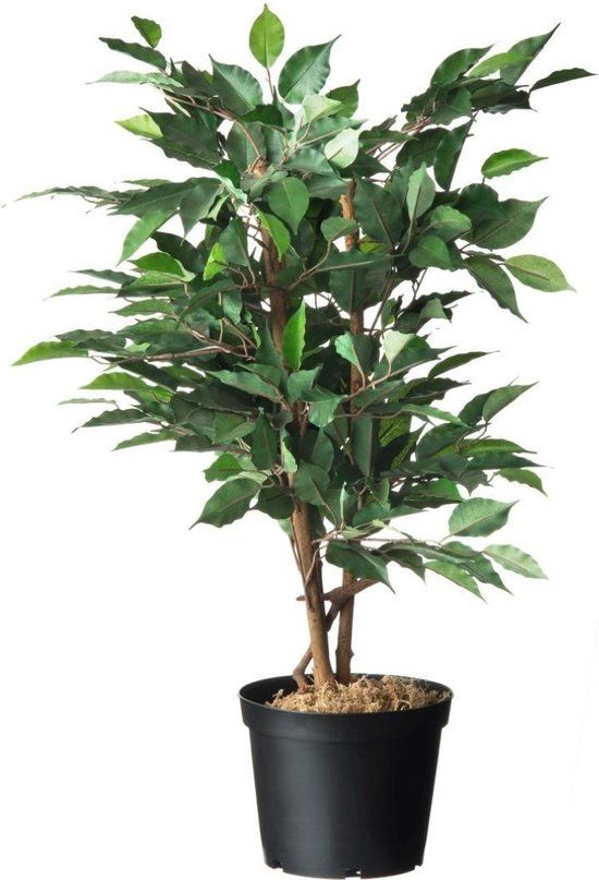 Container zwart 4l H17x dia. 21cm set a 3 stuks