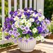 Faux flowers set of 9 with UV protection for outdoor use