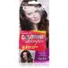 Delia Cosmetics Cameleo Dark Blonde Coloring Shampoo Quick and Easy Color Refreshing Washable Coloring Tone In Tone 40ml 6.0